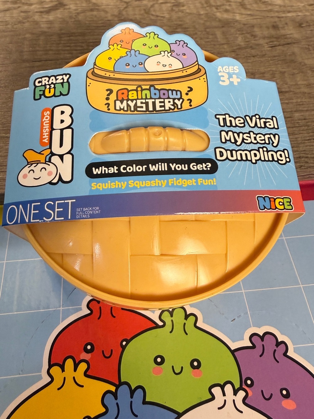 Rainbow Mystery Dumpling with steamer